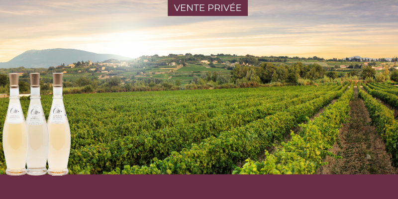 Domaines Ott : l&rsquo;excellence de trois vignobles proven&ccedil;aux